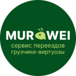 Муравей Бай