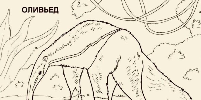 Сегодня 2 января отмечается праздник - День оливье!