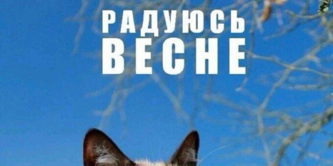 В ближайшие 7 дней в Минске ожидается настоящая весенняя погода!