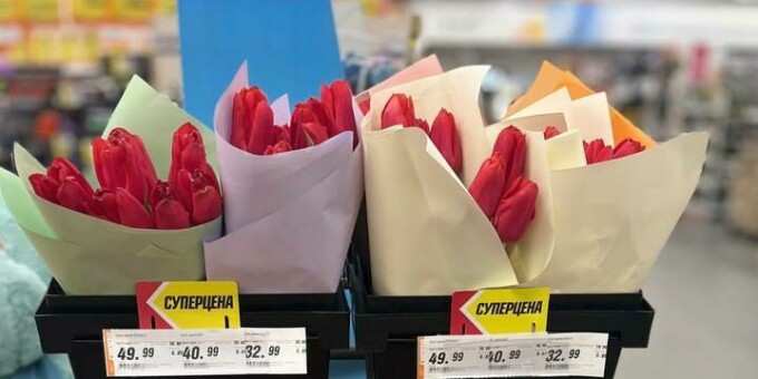 В магазинах «Гиппо» теперь продаются тюльпаны