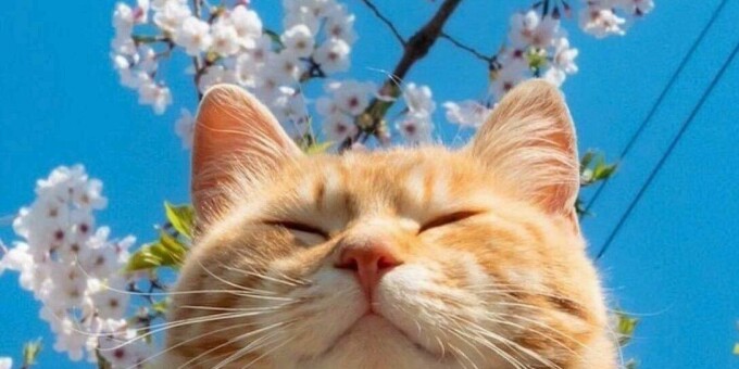 Весна не за горами: в Беларуси ожидается резкое потепление до +12 °C